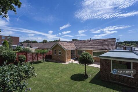 Back Garden