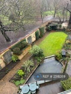Communal Garden