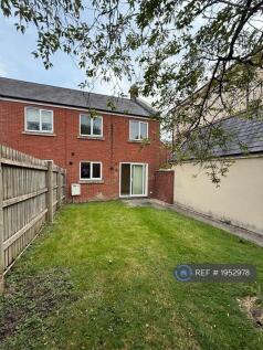 Back Garden