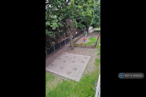 Back Garden 