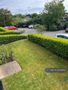 Back View Of Garden 