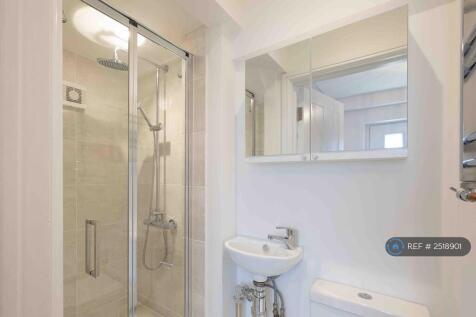 Downstairs Shower Room