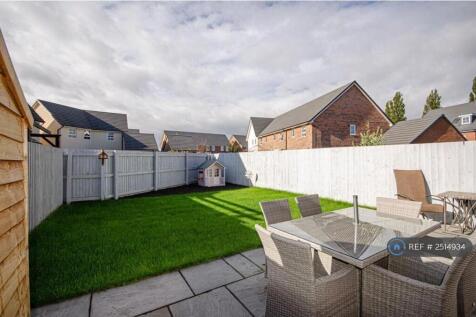 Back Garden With Shed
