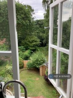 View From Kitchen Window