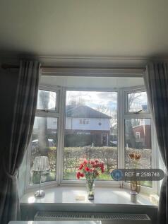 Living Room Window 