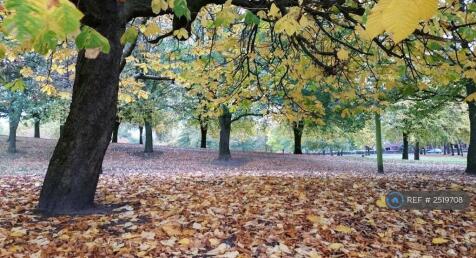 Buile Hill Park