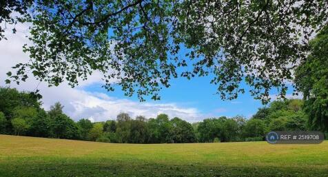 Buile Hill Park