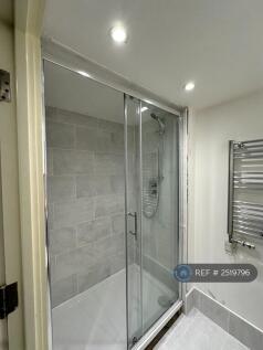 Downstairs Bathroom Shower