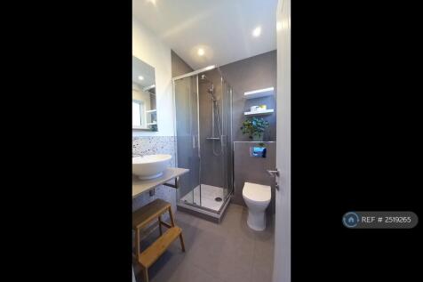 Shower Room - View 1