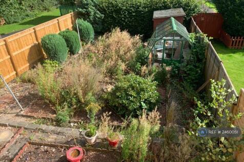 Back Garden 