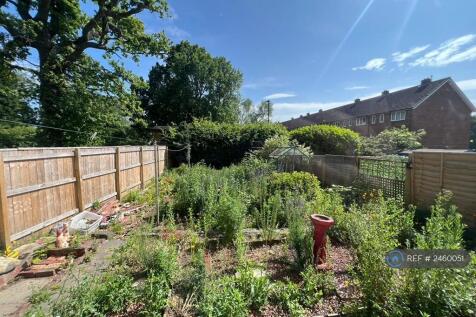 Back Garden