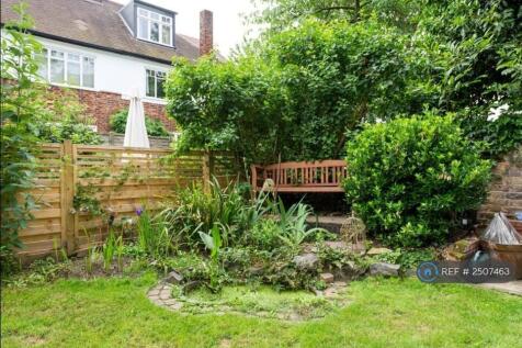 Back Garden