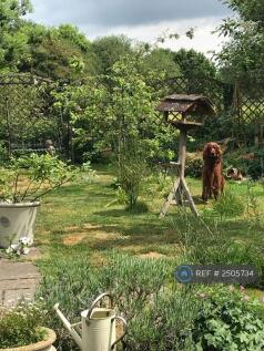 Tranquil Garden From Annex