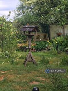 Tranquil Garden View