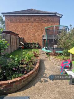 Back Garden 
