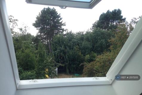 View From The Bedroom