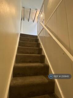 Quiet Attic Room Away From Noise