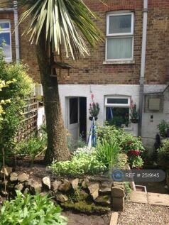 Secluded Patio Garden