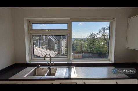 View While You Wash Up!