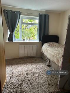 Single Bed