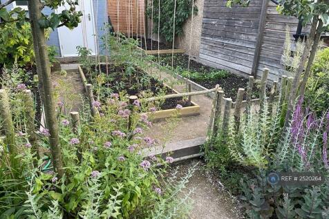 Large Veg Garden (With Plum &amp; Raspberry Trees)