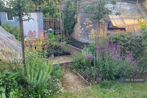Large Veg Garden (With Plum &amp; Raspberry Trees)