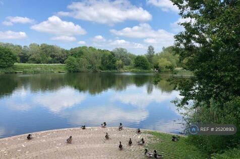 Lodge Lake