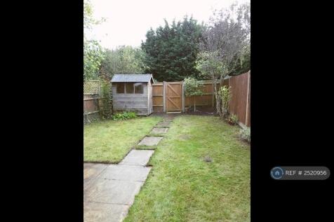 Back Garden