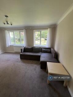 Newly Decorated &amp; New Carpets