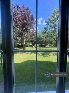 View From Studio Into Gardens