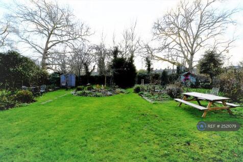 Garden (January 2023)