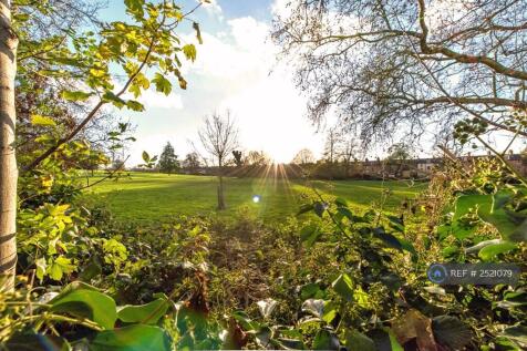 Brockwell Park From Garden