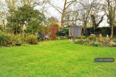 Garden (January 2023)