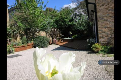 Side Garden
