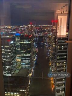 Night View