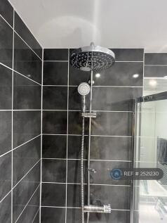 Suite Bathroom - Shower