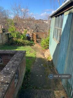 Back Garden