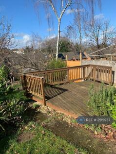 Back Garden