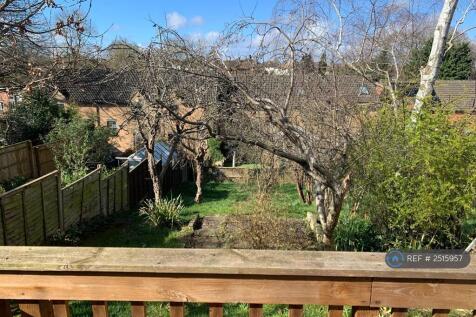 Back Garden