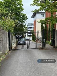 Electric Entry Gates