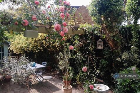 Back Garden