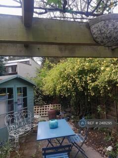 Back Garden