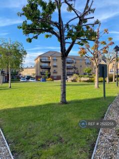 Communal Gardens