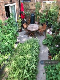 The Back Garden - a Sanctuary!
