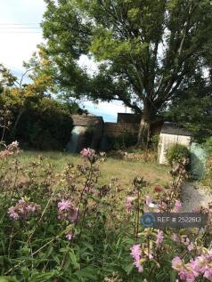 Rear Garden With 3 Sheds
