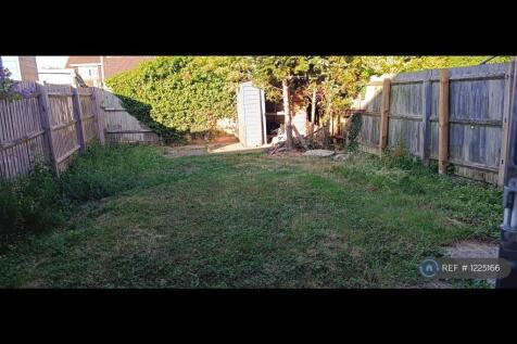 Back Garden