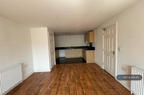 Kitchen/Lounge/Dinning