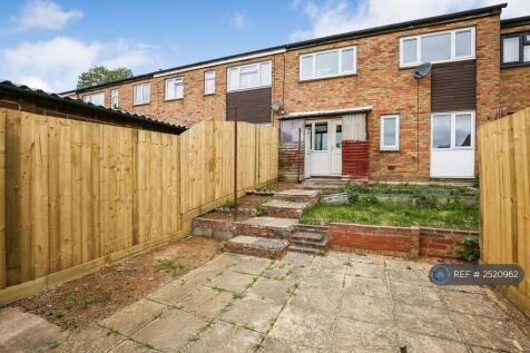 Back Garden