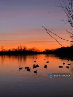 Colwick Country Park