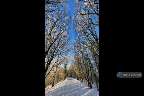 Colwick Country Park